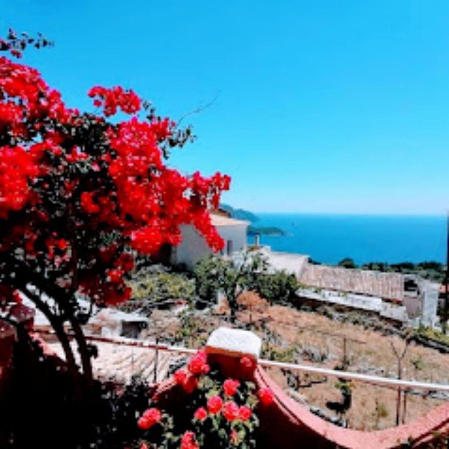 Traditional Panoramic Sea View House Lakones Exterior photo